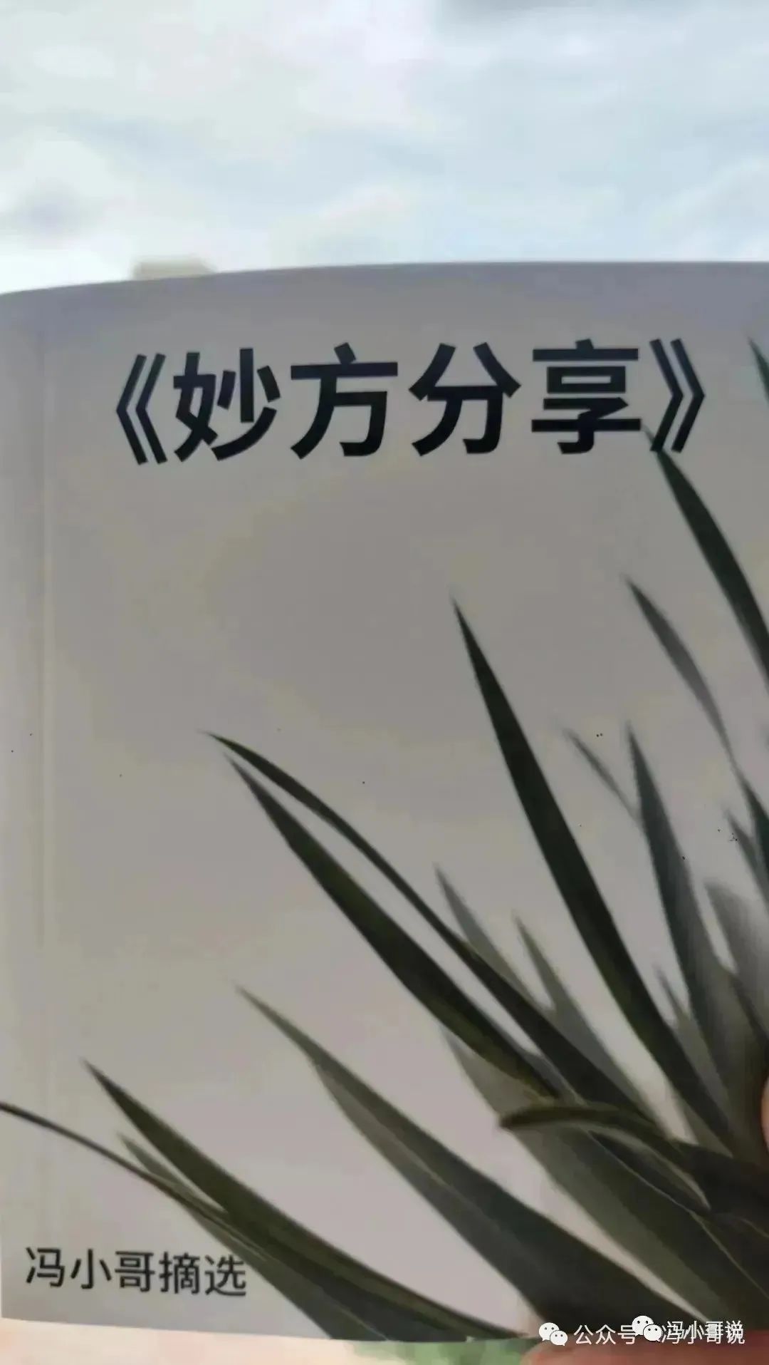 竹米多少钱一斤_竹米多少钱一斤_竹米多少钱一斤