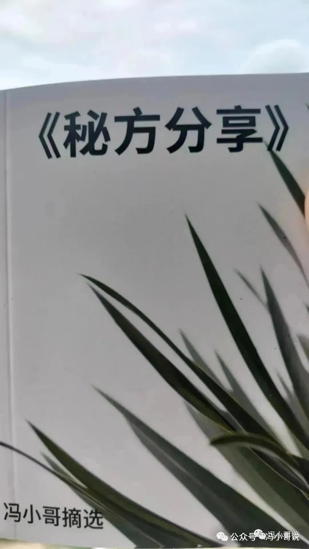 竹米多少钱一斤_竹米多少钱一斤_竹米多少钱一斤