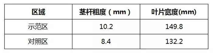 海藻菜的功效与作用及禁忌_海藻菜_海藻菜的做法