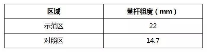 海藻菜的功效与作用及禁忌_海藻菜的做法_海藻菜