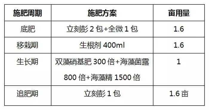 海藻菜_海藻菜的做法_海藻菜的功效与作用及禁忌