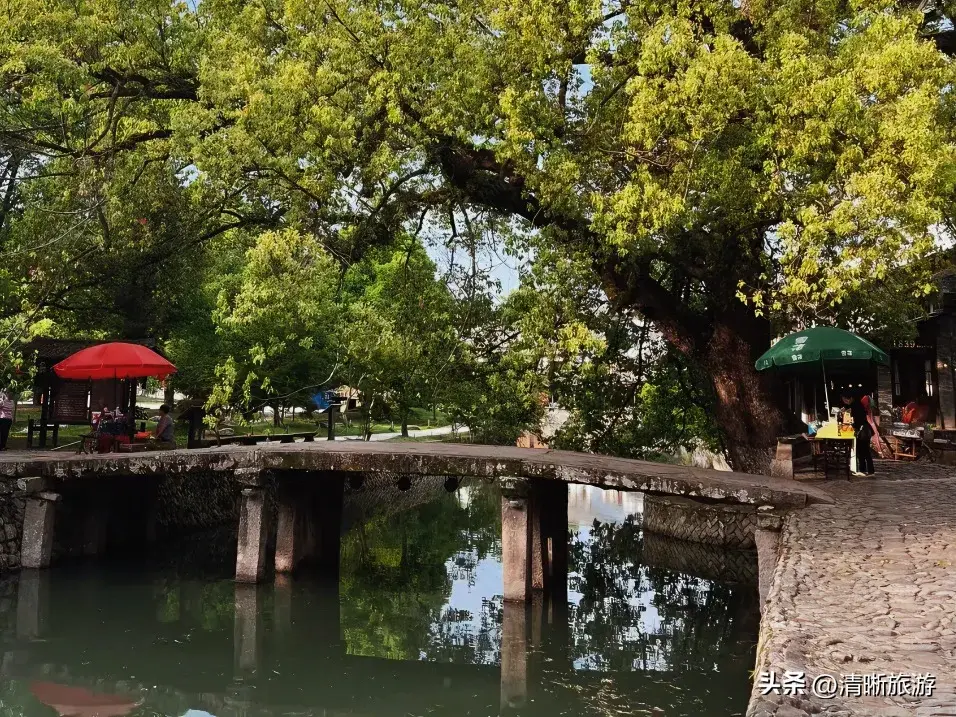 温州旅游攻略必去景点_温州景点推荐_温州旅游必去景点