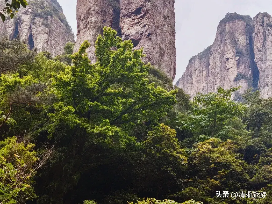 温州旅游必去景点_温州旅游攻略必去景点_温州景点推荐