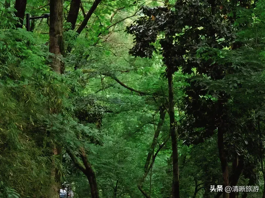 温州旅游攻略必去景点_温州旅游必去景点_温州景点推荐