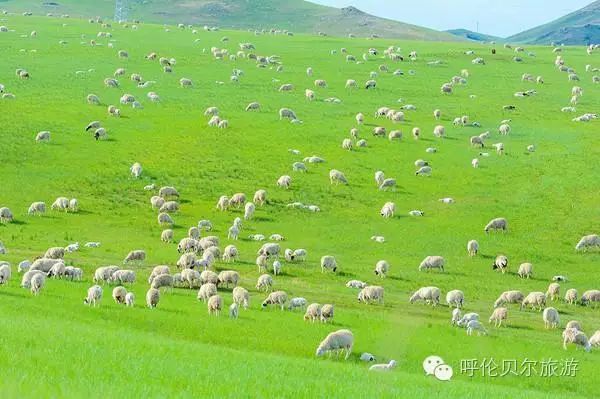 7月份到内蒙去穿衣攻略_这时候去内蒙穿啥衣服_内蒙穿衣指数