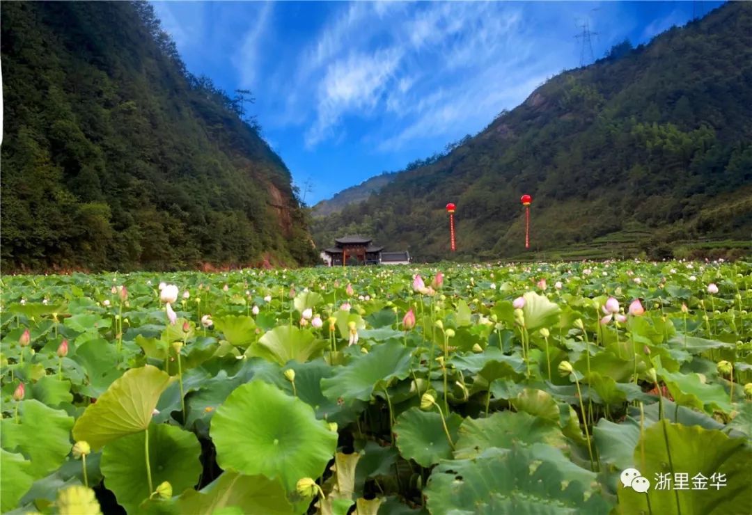 浙江漂流_漂流浙江哪里更好玩_漂流浙江安吉