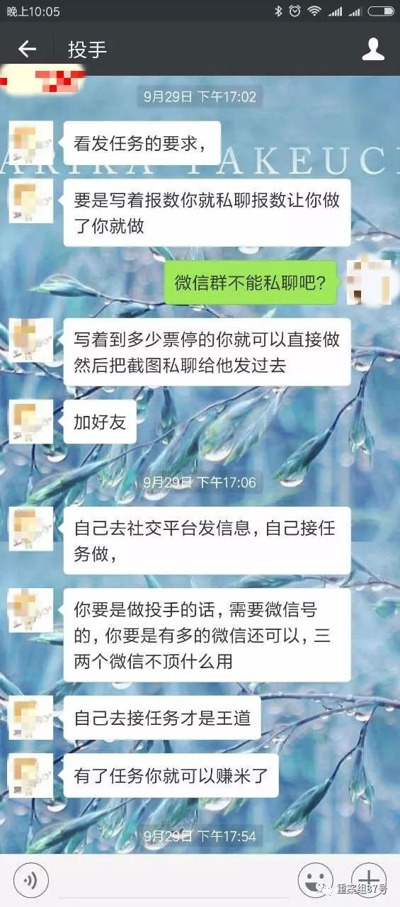 怎么花钱投票_花钱投票的是怎么弄的_花钱投票的骗局