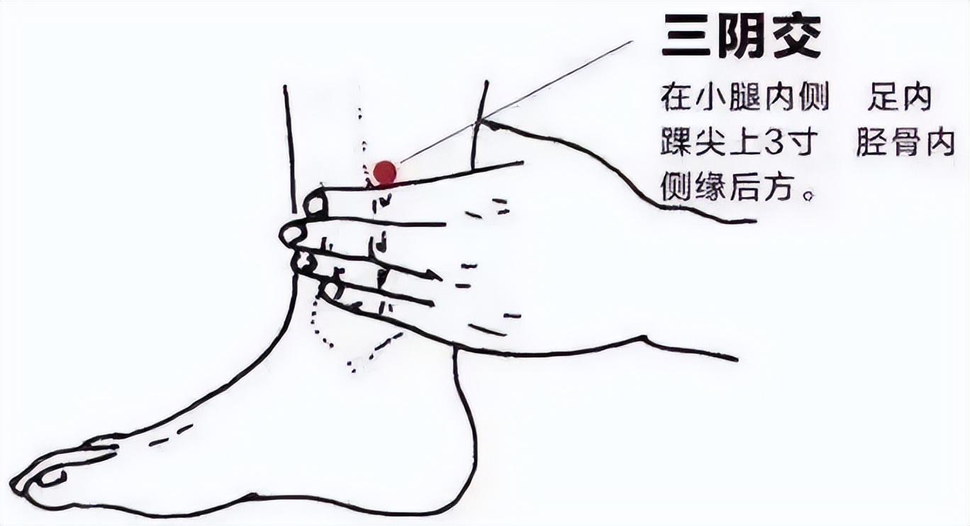 控制食欲的方法_抑制食欲的减肥药_食欲