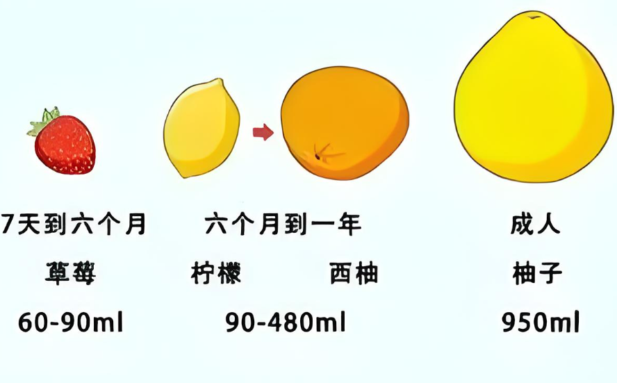 控制食欲的减肥药_食欲_抑制食欲减肥药