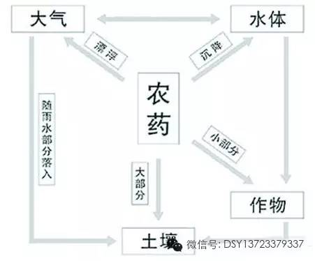 1500毫升水是多少斤_毫升水是多少克_毫升水是几克