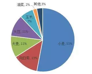 英国国花是哪种玫瑰_英国国花是什么花_英国国花