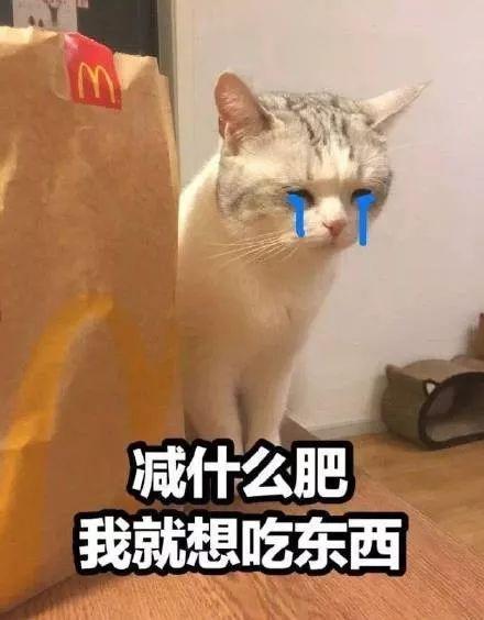 速食食品有哪些_速食产品有营养吗_速食食品有什么