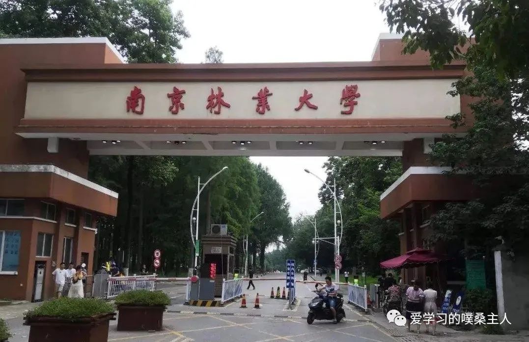 高考580分能上985大学吗_高考分数上大学_高考分数段可上大学一览表