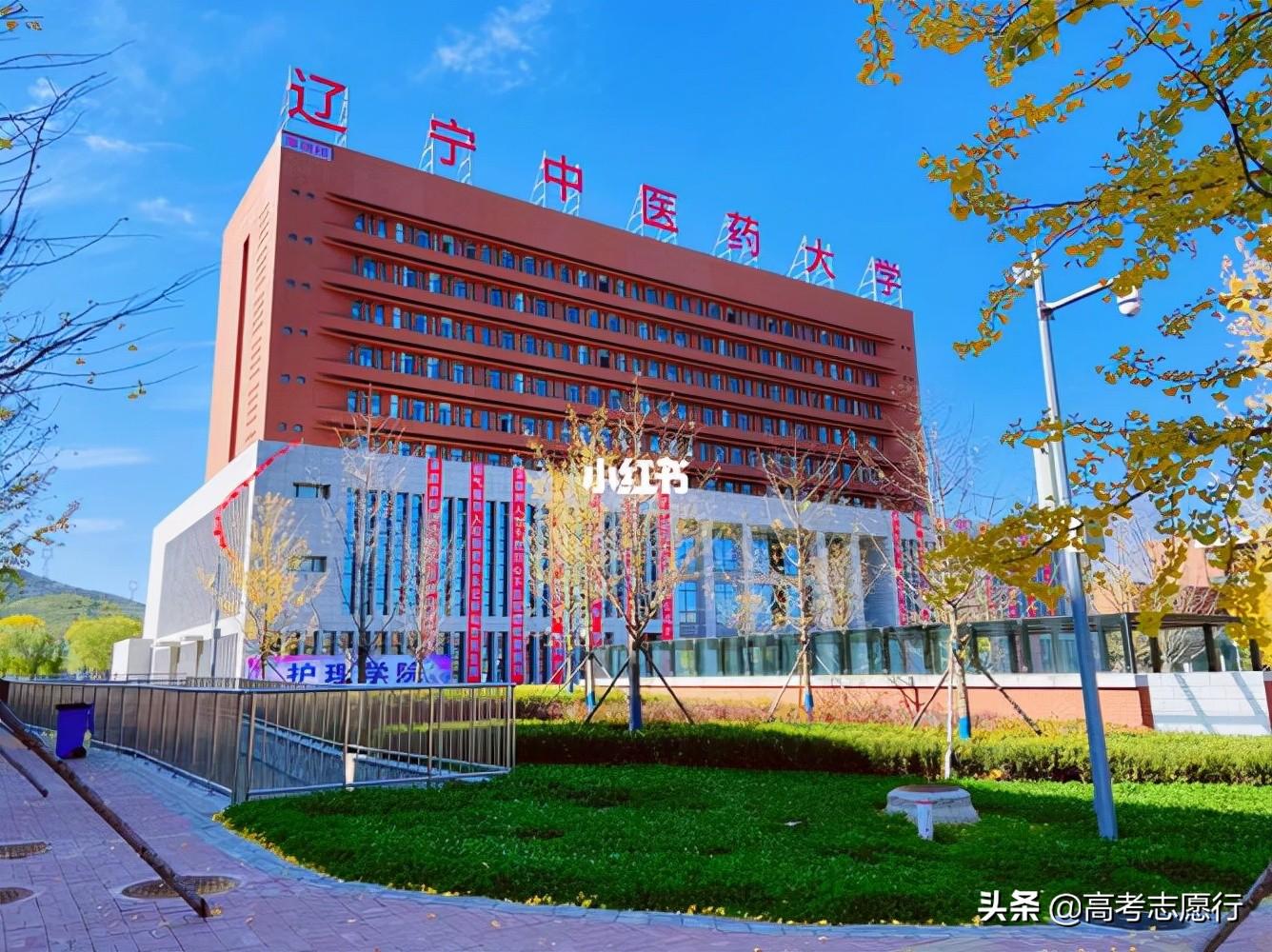 辽宁医学院电话_辽宁医学院医疗学院_辽宁医科大学医疗学院