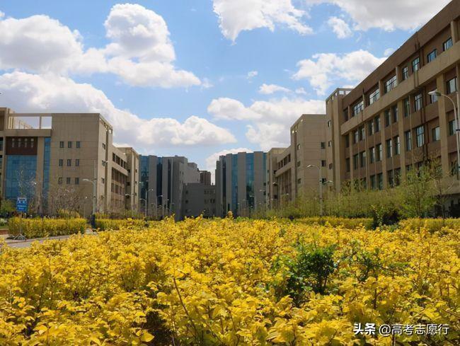 辽宁医科大学医疗学院_辽宁医学院医疗学院_辽宁医学院电话