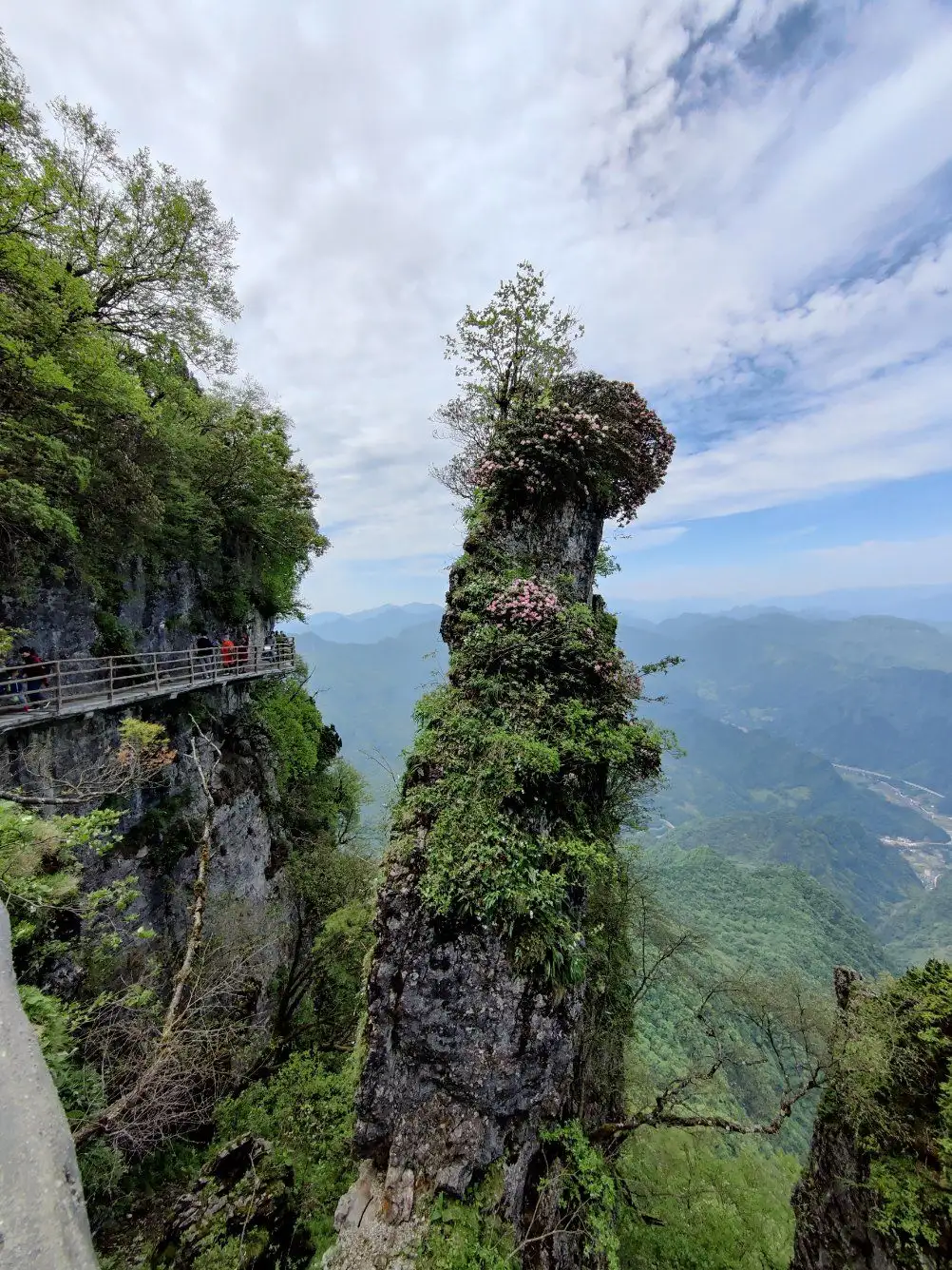 龙头山的风景_龙头山风景区介绍_龙头景区山风介绍资料