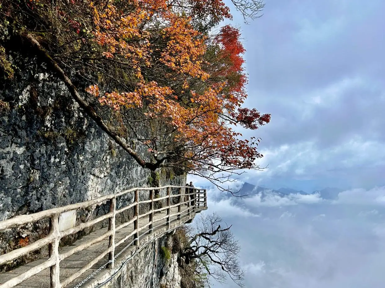 龙头山风景区介绍_龙头景区山风介绍资料_龙头山的风景