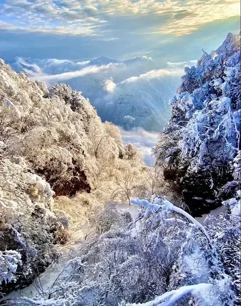 龙头山风景区介绍_龙头山的风景_龙头景区山风介绍资料