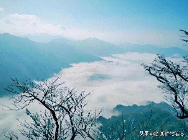 龙头景区山风介绍资料_龙头山的风景_龙头山风景区介绍