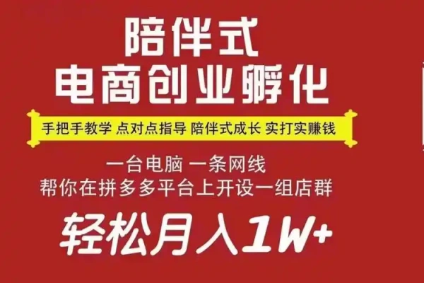 拼多多自然流店群入门课从0到1思路流程