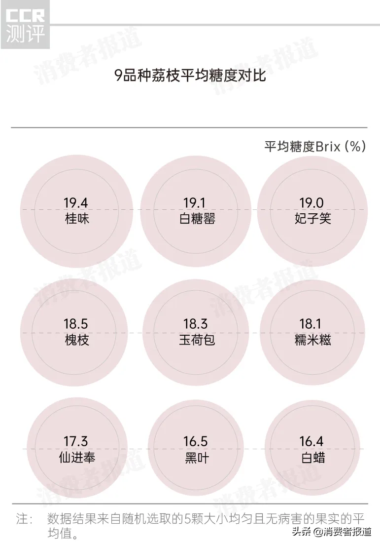 荔枝更好的前三个品种是什么_荔枝什么品种_荔枝更好的品种