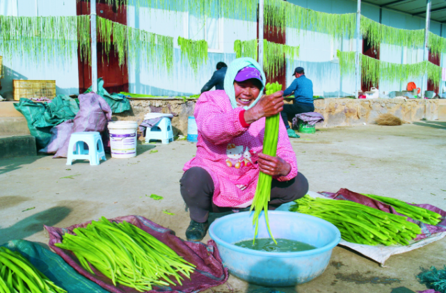 贡菜菜系_何为贡菜_贡菜是什么菜