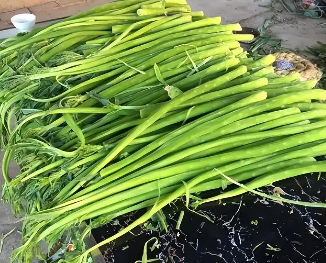 贡菜是蔬菜吗_贡菜是什么菜_贡菜是啥子