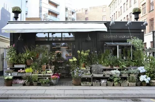 开花店好学吗_想开花店要学什么_自己想开花店去哪里学