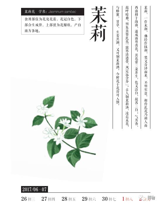 茉莉花_茉莉花简谱_茉莉花歌曲