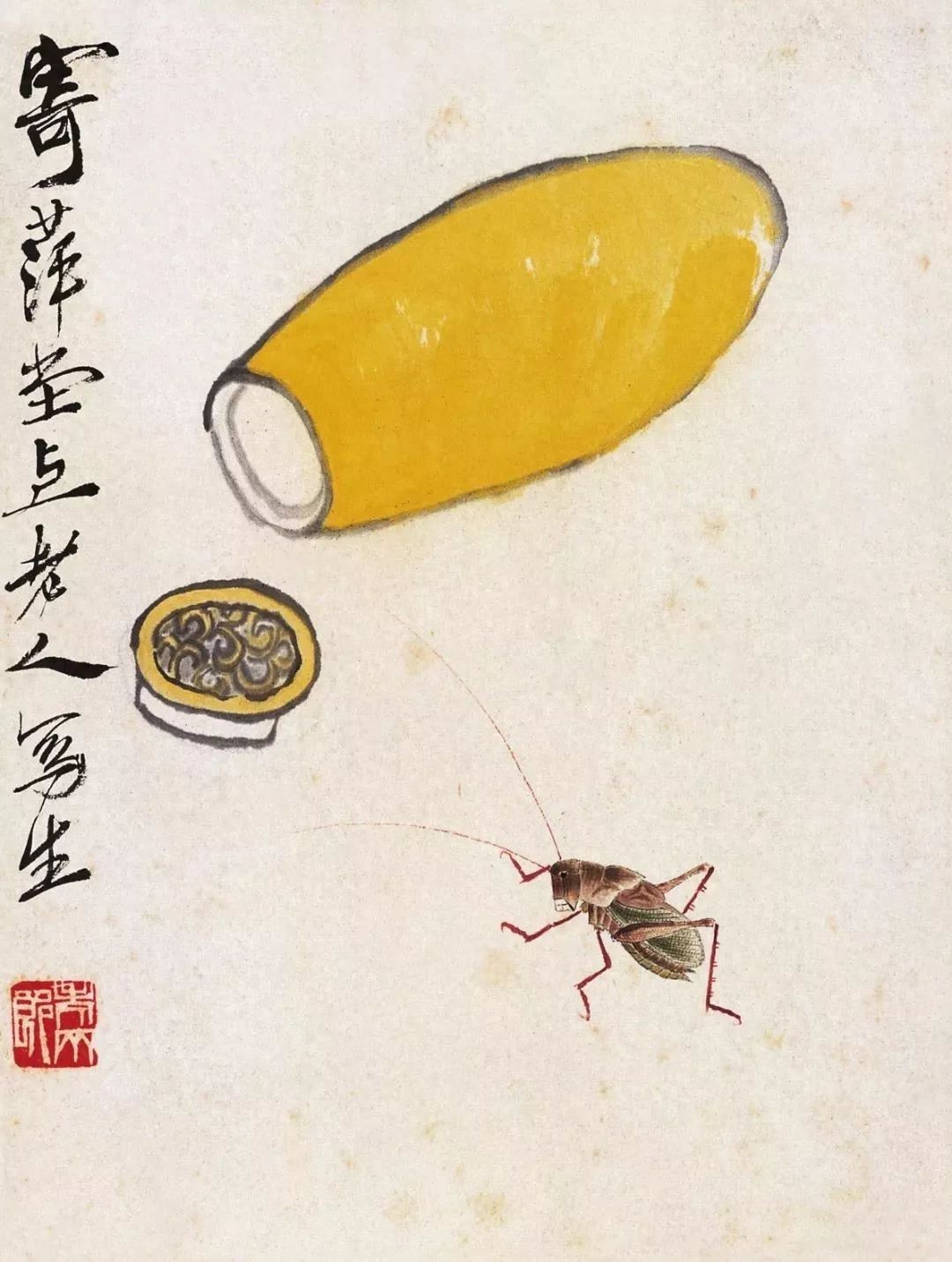 纺织女是什么昆虫_纺织娘是什么昆虫_纺织娘昆虫简笔画