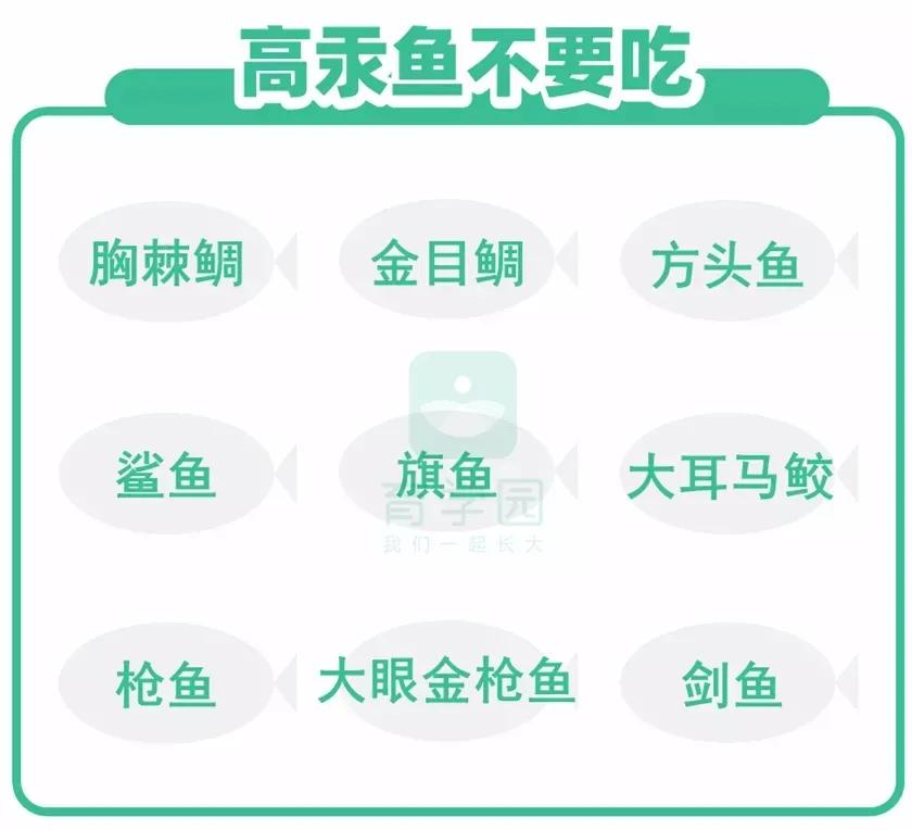 为什么不建议吃黑鱼_黑鱼吃了什么好处_吃黑鱼吗