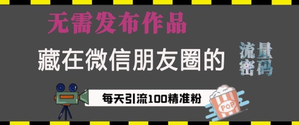 藏在微信朋友圈的流量密码，没有需发布作品，单日引流100 精准创业粉【揭秘】